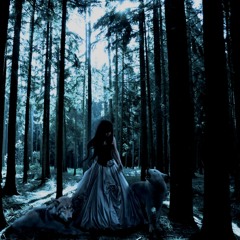 The Night Carnival and the Blue Wolf