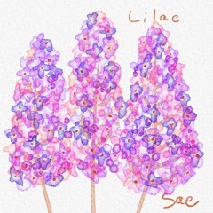 Lilac ( Humming song )