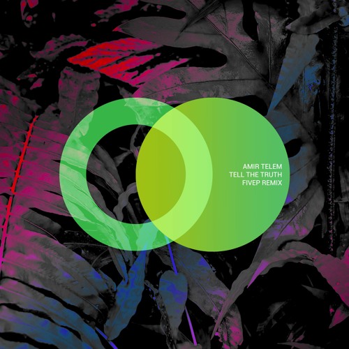 Amir Telem - Tell The Truth