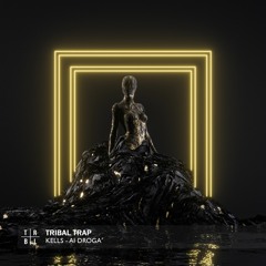 kells - AI DROGA