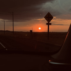 Butterflies - Stevie Hoang