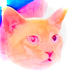 OUMI