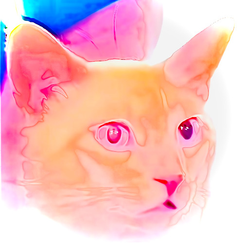 OUMI