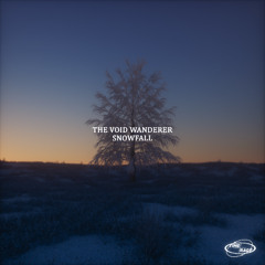 The Void Wanderer - Midnight Miracle