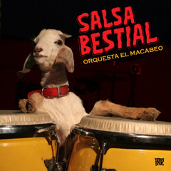 Stream Orquesta El Macabeo music | Listen to songs, albums