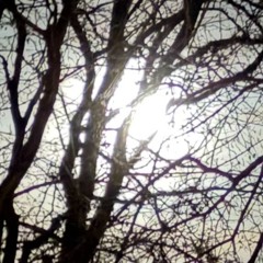 January Full Moon 2026