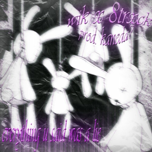 wik - everything u said was a lie ft. 8trxck (prod. KANEDA7)