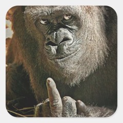 gorilla finga