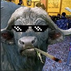 Rawstyle Mix März (Setcut)