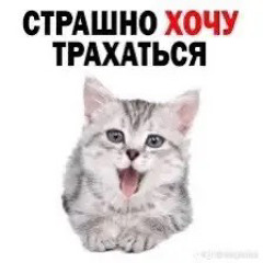 163ONMYNECK feat OG Buda, THRILL PILL - Виктория сикрет slow