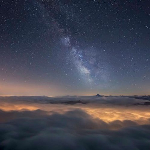 MSC Affectionate Breathing Rosser