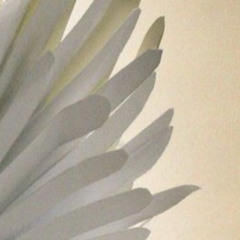 angelsong