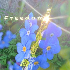 Freedom