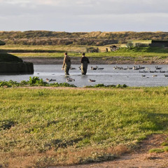 PAPIER - Tensions en Baie de Somme entre le militant écologiste Pierre Rigaux et les chasseurs