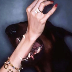 Belden Avenue Bopper