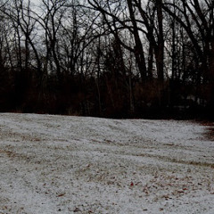 Dark Field (version for chimes, flutes, glass bottles, Irish whistle, piccolo, and voice)