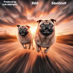 Tantalizing With Speed 800