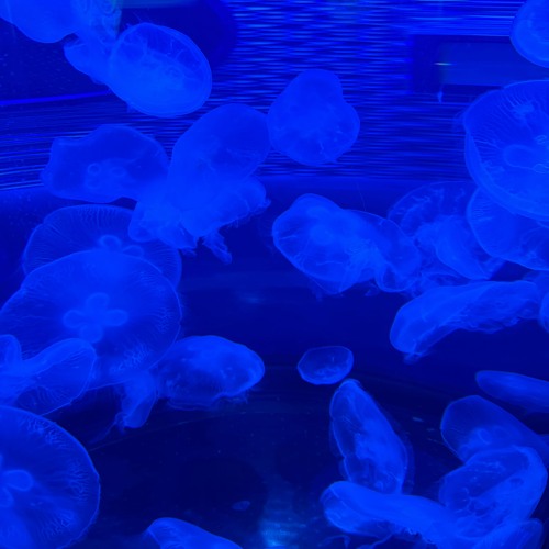 aqua3.wav