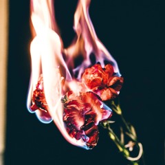 Gabyus - Poisoned (Original Mix) 2023-09-05