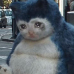 GTBFK-- moncler vision