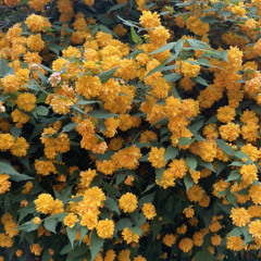 용용이에게 (demo)