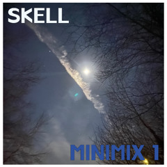 MINIMIX 1