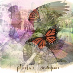 Phortah - Landscape