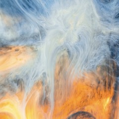 Moments in Motion • Episode 004 •