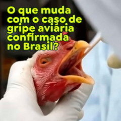O que muda com o caso de gripe aviária confirmada no Brasil?