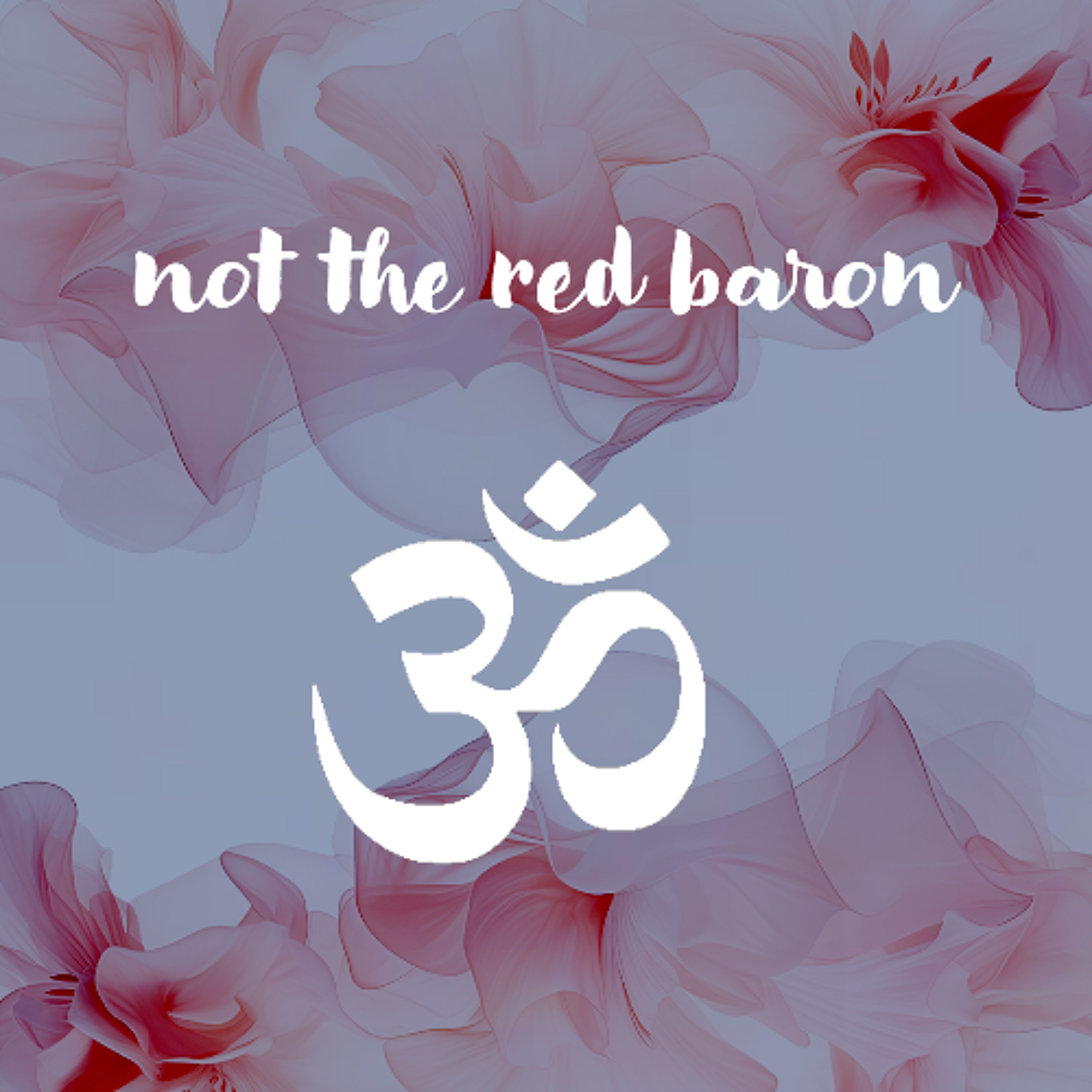 05122026 Not the Red Baron episode artwork