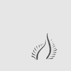 SELECTION : Alume - Ha’a Su [Alume]