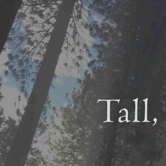 Tall, (naviarhaiku536)