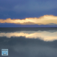 swimming the starry sea