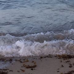 Tee Rob-(MIAMI) Ft-MBI & TKO