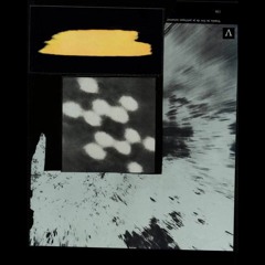 dinebi (TRTF008)