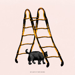 Premiere: Départ - Mine [Not Quite My Tempo Records]