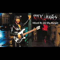 THE RICK JAMES MIX
