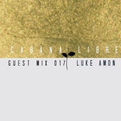 Luke Amon - Cabana Libre Guest Mix 017