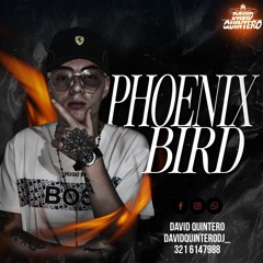 PHOENIX BIRD!
