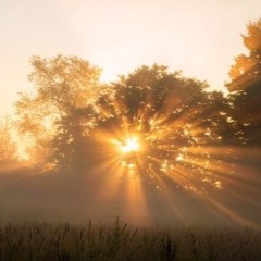 god