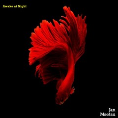 Jan Msetau - Awake at Night