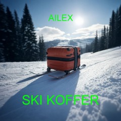 Ski Koffer