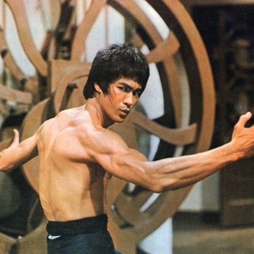 Wanna have a fight?