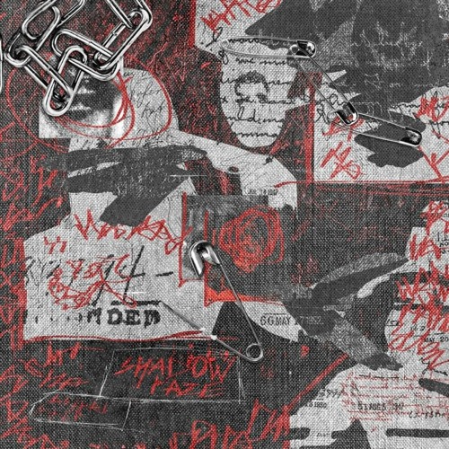 Shadowraze - Astral Step (slowed edit by FLXNDR.)