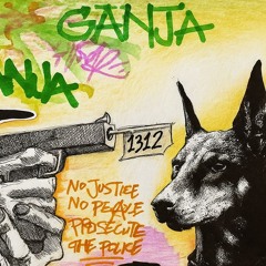 ganja (chopsaint x tØny) (sped up)