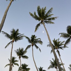 Tahitian Vibes 🇵🇫