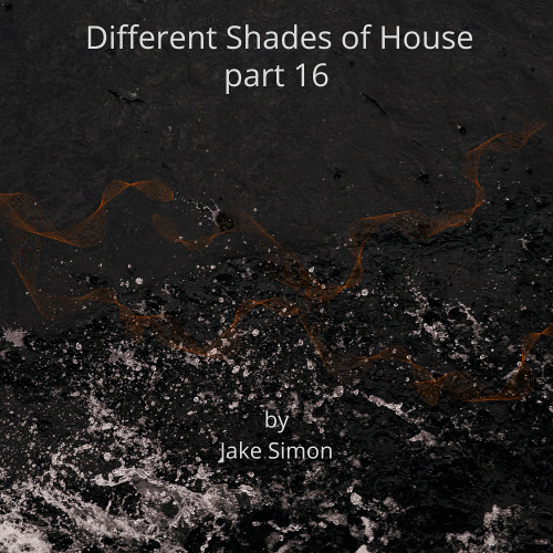 Different Shades of House part 16