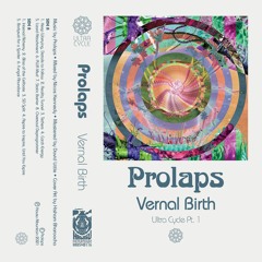 Prolaps - Keep Worrying, Details to Follow