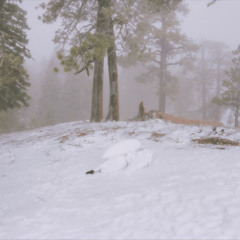 pandora (lum3n remix)