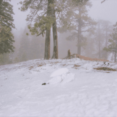 pandora (lum3n remix)